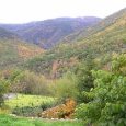 Paysage 4