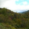 Paysage 2
