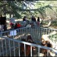JPEG - 304 kio
